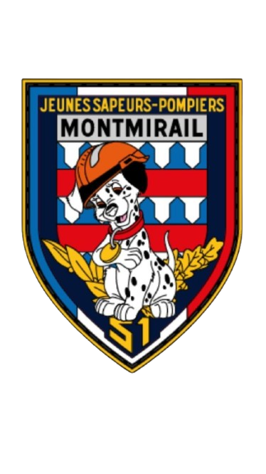 Logo de la section JSP